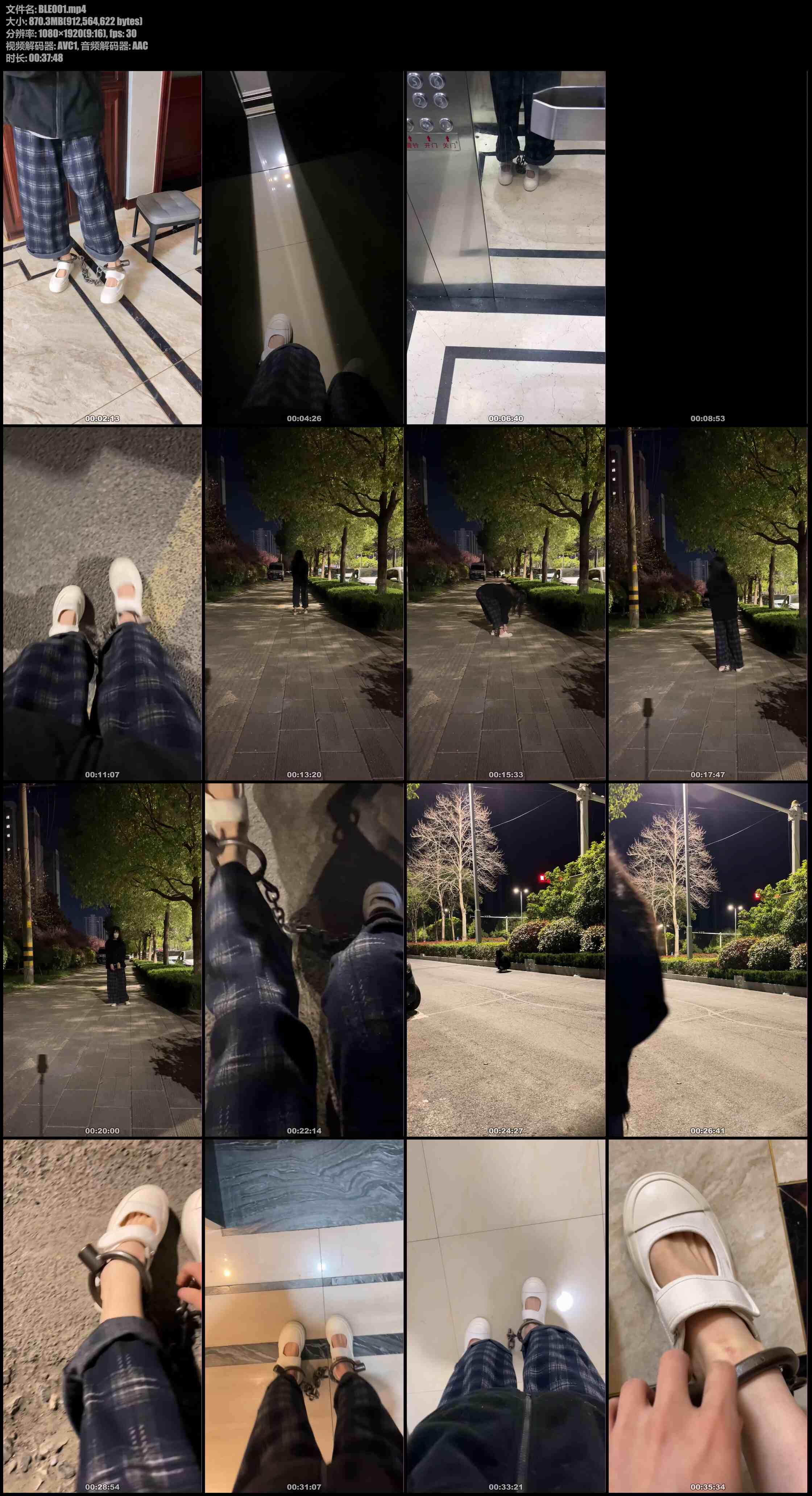 布莱恩 镣铐夜行的女孩 不带钥匙，坐电梯全程